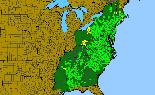 The range of Rhododendron periclymenoides